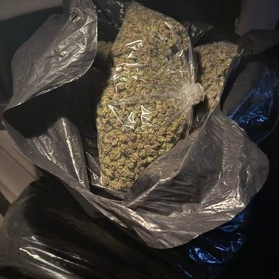 Indoor🍁s,Deps, Lows, Disposables💨, Shrooms🍄, pills💊 , LSD🧩, Coke ❄️
Concentrates . Shipping worldwide 🌏 📦 ✈️
Tap'n 👇👇 to order got you'll right 💯