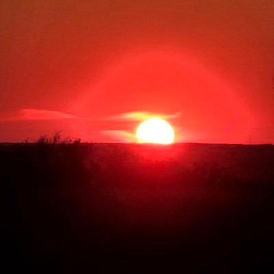 johndoe991231's profile picture. 