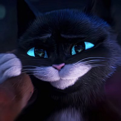 | 27 | you can refer to me as my dn or @ i don’t mind i also go by any pronouns except for it/itself | pfp i.d: kitty softpaws from puss in boots | #furrytwt |