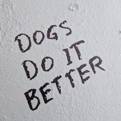 AmberMorri77453's profile picture. your favorite k9 lady text me privately if interested only or click to my telegram link below my post