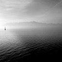 Brzoska Homans - @BHomans29715 - Twitter