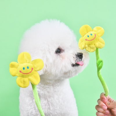 taraoooi's profile picture. 