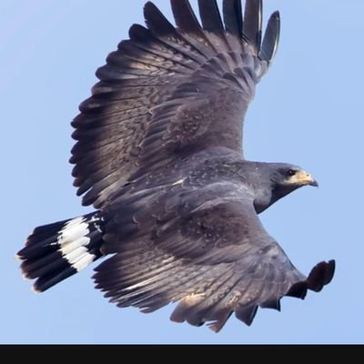 @Wh1t3Wh1rlWind