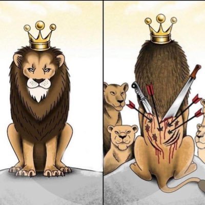 KING LIQUIDITY CONCEPTS (KLC) 📊…. No pain No gain 💙👑