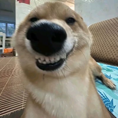My Name First Support : Nana 🐶 ,Lingling 🐰, Lookked, Jingjing , Ploen,Prae , Kwan ,Runma, Hongyok | I like Toyota cars and watch Formula 1 Team McLaren