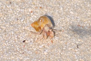 Tim_Simons_'s profile picture. A Brooklynite living in DC; Focused on improving the economic future of Black America. Views expressed here are my own.