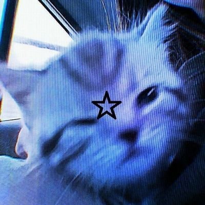 alphalimaa_'s profile picture. 
