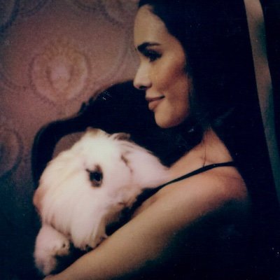 flairsed's profile picture. ˚*•̩̩͙✩ madison, ariana, gaga, billie, addison •̩̩͙*˚*