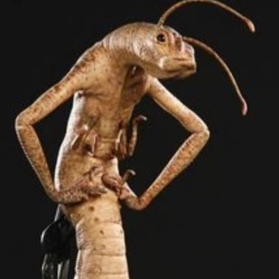 Ashleywifey2001's profile picture. 