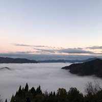 トーモ (@l1bso) 's Twitter Profile