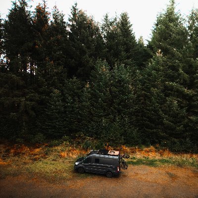 RicardoDic22913's profile picture. Here for meaning, not metrics.