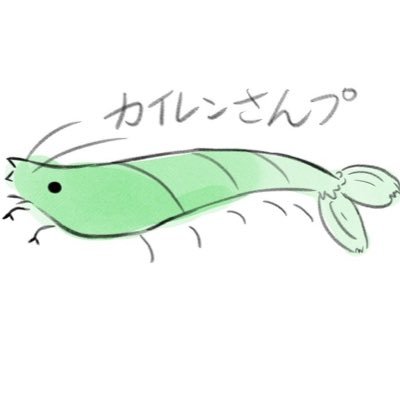 カイレン@創作垢🟩🦐さんのプロフィール画像
