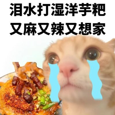 👒🐶 m  野裸  暴露  喜吃大🐔
23-180-73-16-0.5