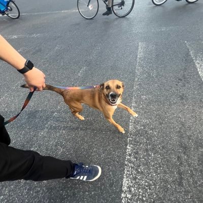 kaityhallman's profile picture. 