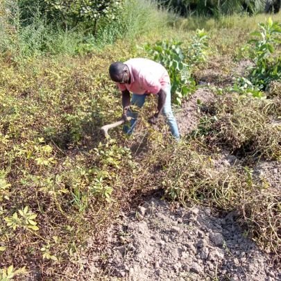 JabangJaban7231's profile picture. student