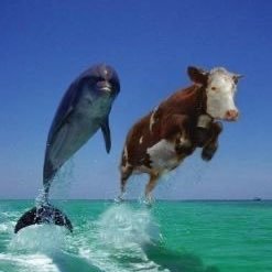 midgetspinner31's profile picture. 