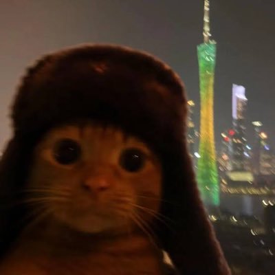 fluctuous's profile picture. 