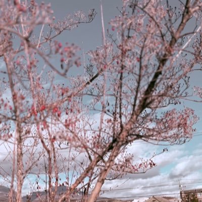 10famm_asuka's profile picture. Fammスクール /10月期WOMAN グラフィックデザイン講座/初心者/無言フォロー失礼します🙇/