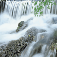 TeresaFern93399's profile picture. Motivational And Dedicated And Calm. Love coin collecting, ice hockey. Running A Fitness Studio.