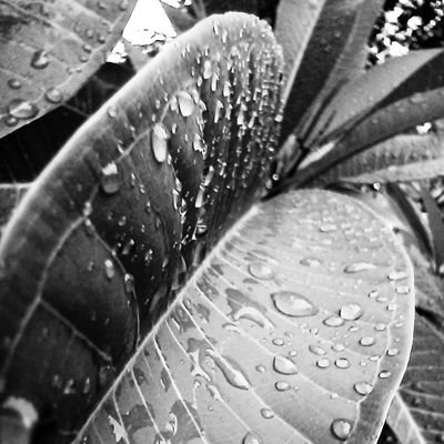 christianredman's profile picture. 