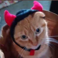 トモキ🪩🕺💜🐬 (@kirakira01240) 's Twitter Profile Photo