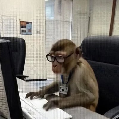 fourtfeet5's profile picture. learning stuff