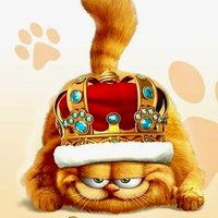 گربه ی عرزشی سوز (پشتیبان)🐈👑 (@7090323e05c04c4) 's Twitter Profile