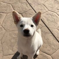 Frank Castle (@frankcastl1) 's Twitter Profile