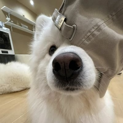 Yheel4444_'s profile picture. 宽肩窄腰