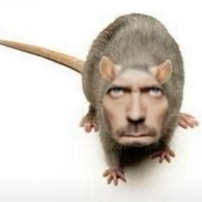 altkn0's profile picture. HUH?