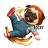 marukoccino's profile picture. 日々の暮らしにトッピング🪄  二代目はパグのろくさん🐾 （2016.6.13生まれ ♂男の子） Pug makes me smile🇯🇵