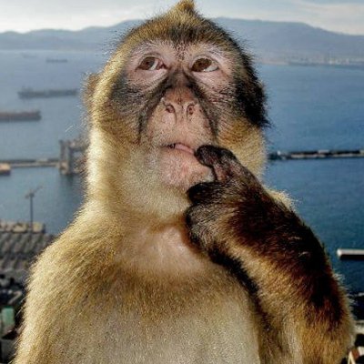 bosanmandi's profile picture. 