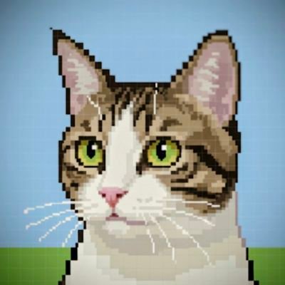 CryptoNorwaycat's profile picture. 空投項目彙整與推薦/TAIWAN🇹🇼