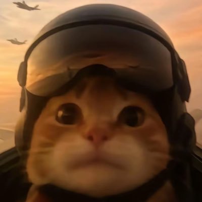 nicycn's profile picture.