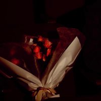 🍷 (@moonlit_lhs) 's Twitter Profile