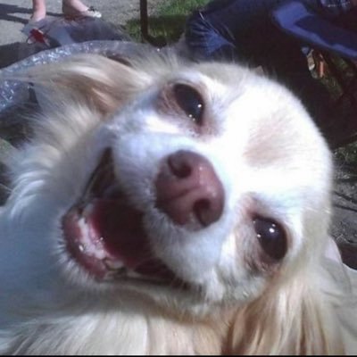 franciarvby's profile picture. 