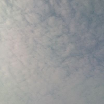 Ekopaul_25's profile picture. 