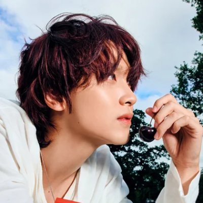pollsforhaechan's profile picture. For HOLO 2025.