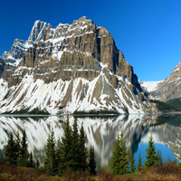 trixjpb's profile picture. 筋トレ・ボディメイクに励んでいる中です。チームワークを大切にするな私はヴィーガン、スキー、ヨガに情熱を注いでいます。