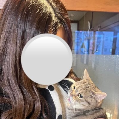 副業+株で3000万まで資産形成/株だけで2年で+40%超えしFIRE/今年は下がってばっかり。。フォローよろしくお願いしまぁぁす