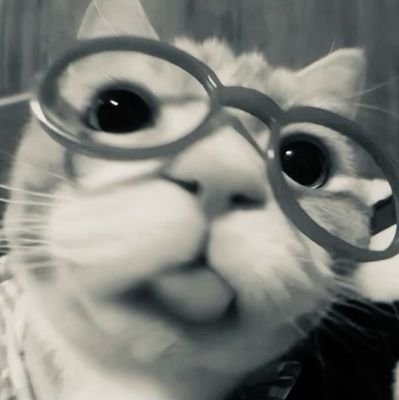 pajeae's profile picture. 