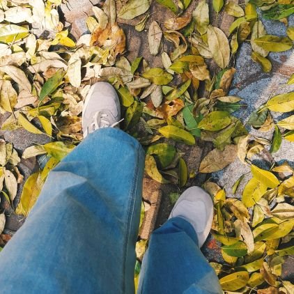 rosecoldbrew_'s profile picture. 