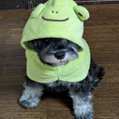 untokod2's profile picture. 日本が好きな人は
みんな好き☆