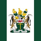 QuietNoticing's profile picture. 