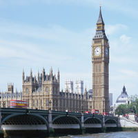 BrookeGuzm13085's profile picture. I'm a empathetic and outgoing person with diverse interests including community organizing, golf. Currently pursuing a career in film production and always look