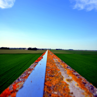 nishimura56367's profile picture. ワークライフバランス重視、信頼できる、文化的な性格です。インテリア、オンライン講座、YouTube視聴に夢中で、新しいスキル習得に励んでいる毎日を楽しんでいます。