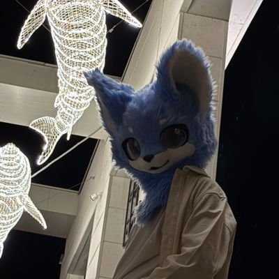 rukaimeow's profile picture. 🐆  •  22  •  English/中文 (使用翻译器)  •  I love dance 🩵