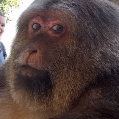 JessicaAshleyyy's profile picture.