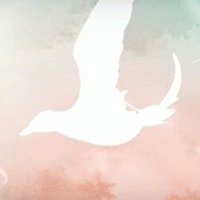 シグナス (@north_cygnus) 's Twitter Profile