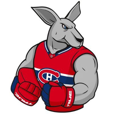 Talking primarily Montreal Canadiens in the AFL offseason, but a die hard North Melbourne fan too with love for all cricket & much more